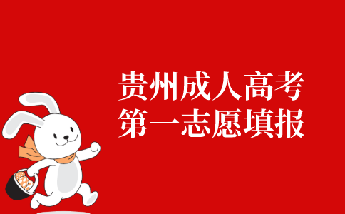 2021年贵州省成人高考第一志愿填报指导