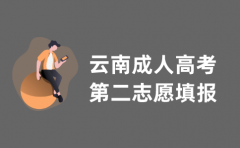 2021年云南省成人高考第二志愿填报指导