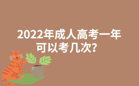 2022年四川成人高考一年可以考几次？